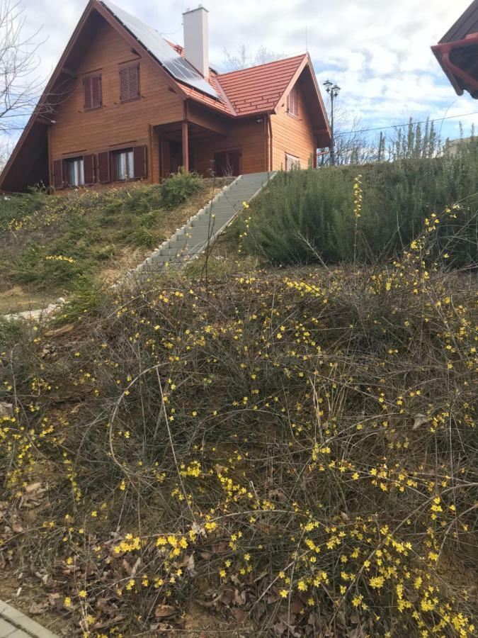 Ferienwohnung Boejti Pince Tormafolde Exterior foto